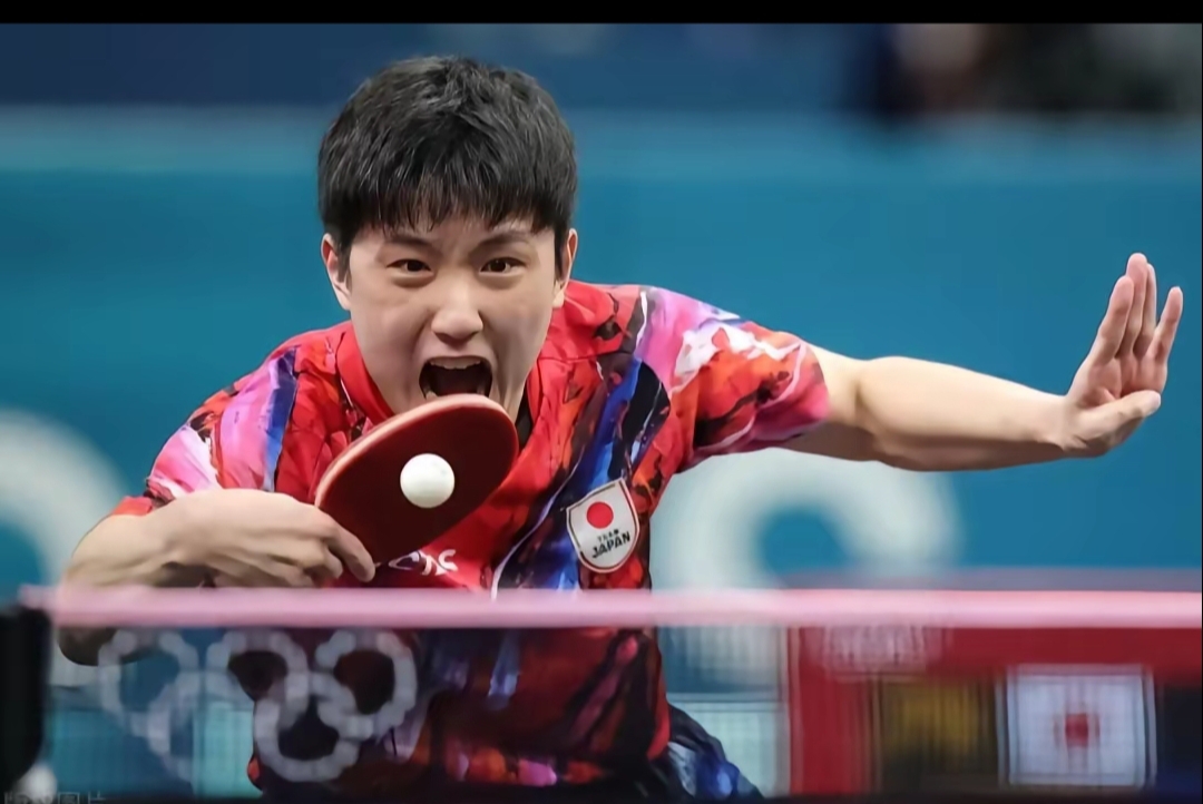 德国乒乓球队绝杀比利时乒乓球队,张本智和关键制胜 德国乒乓球队绝杀比利时乒乓球队,张本智和关键制胜