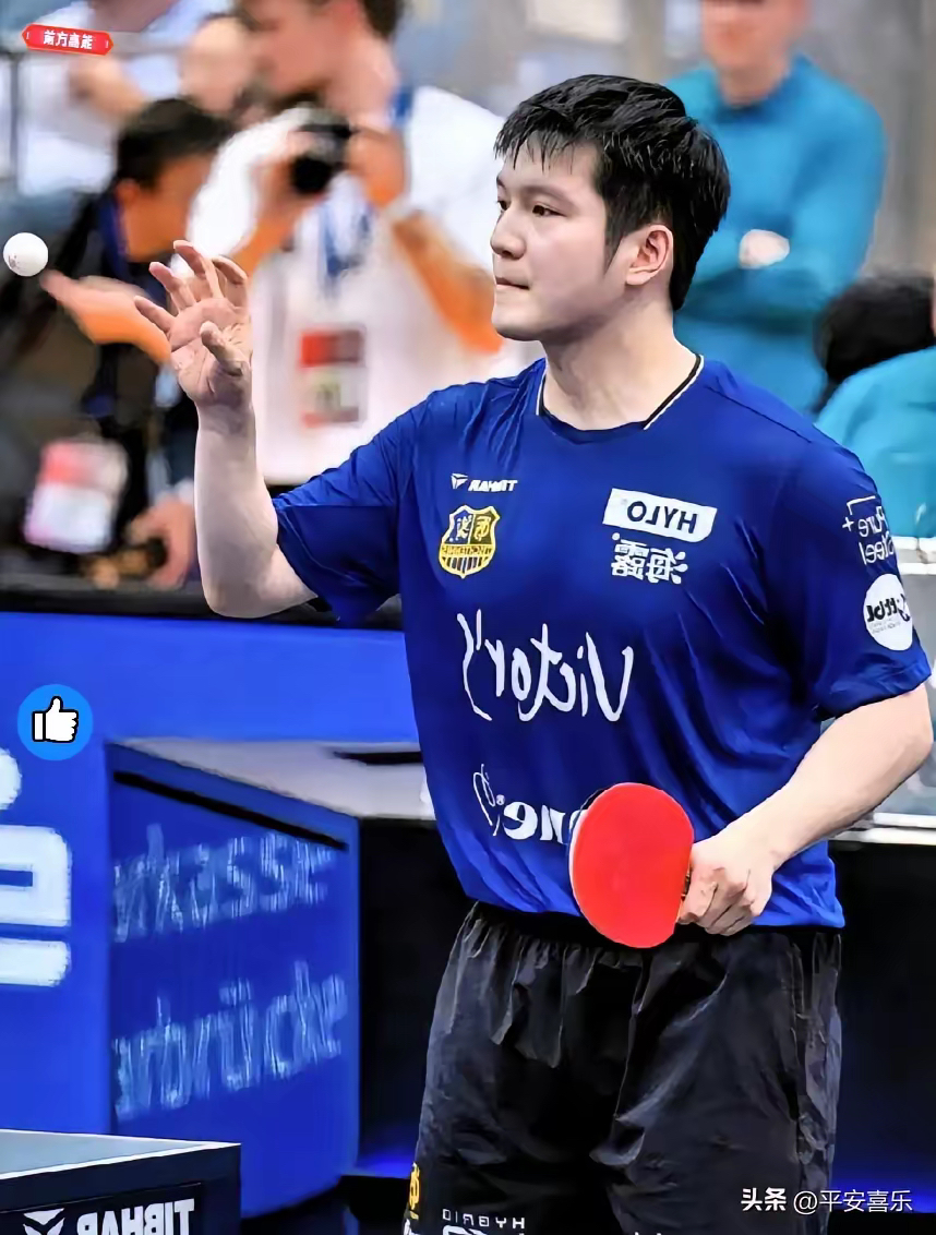 比利时乒乓球队碾压波兰乒乓球队，樊振东爆发神勇的简单介绍