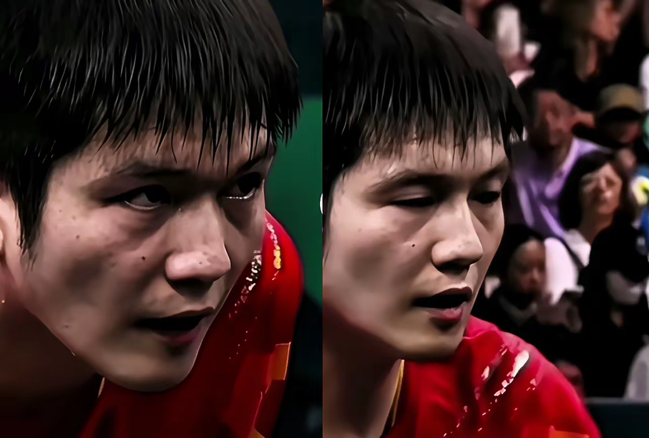 比利时乒乓球队碾压波兰乒乓球队，樊振东爆发神勇的简单介绍