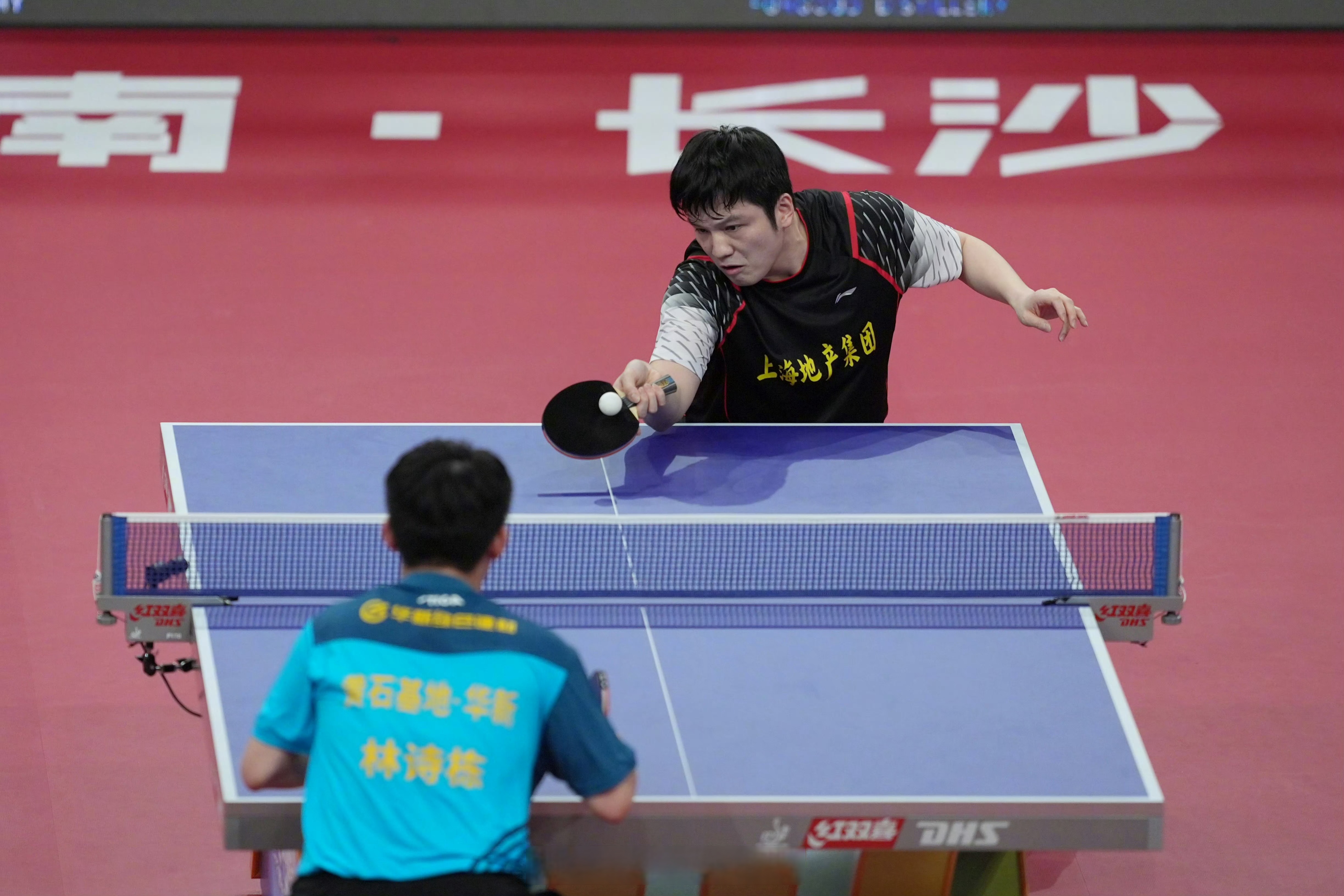 中国乒乓球队翻盘比利时乒乓球队，樊振东送出助攻的简单介绍