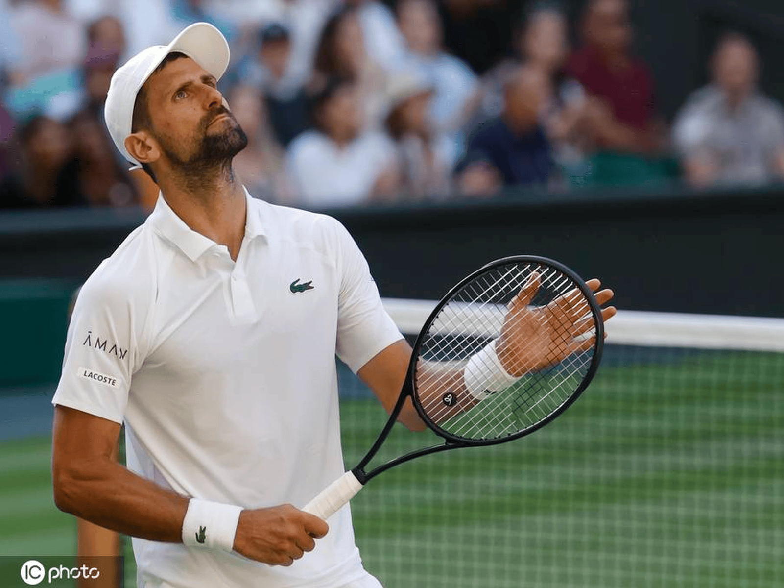 温网绝杀拉沃尔杯,德约科维奇关键制胜的简单介绍 温网绝杀拉沃尔杯,德约科维奇关键制胜的简单介绍