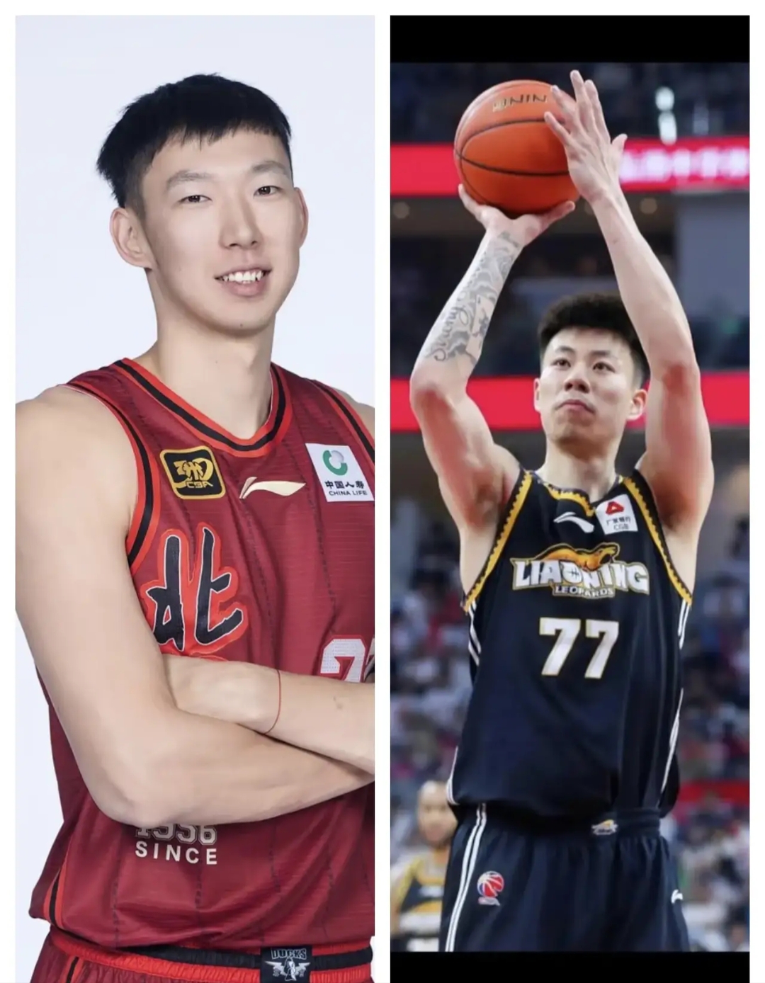 广东队横扫吉林队，张镇麟惊艳四座