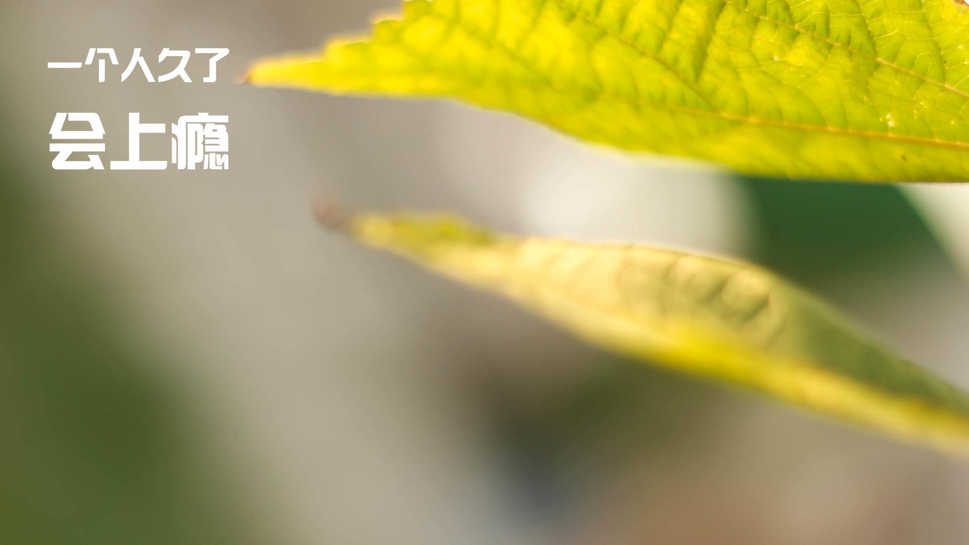 爵士铁壁锁死火箭，德罗赞关键一击定乾坤