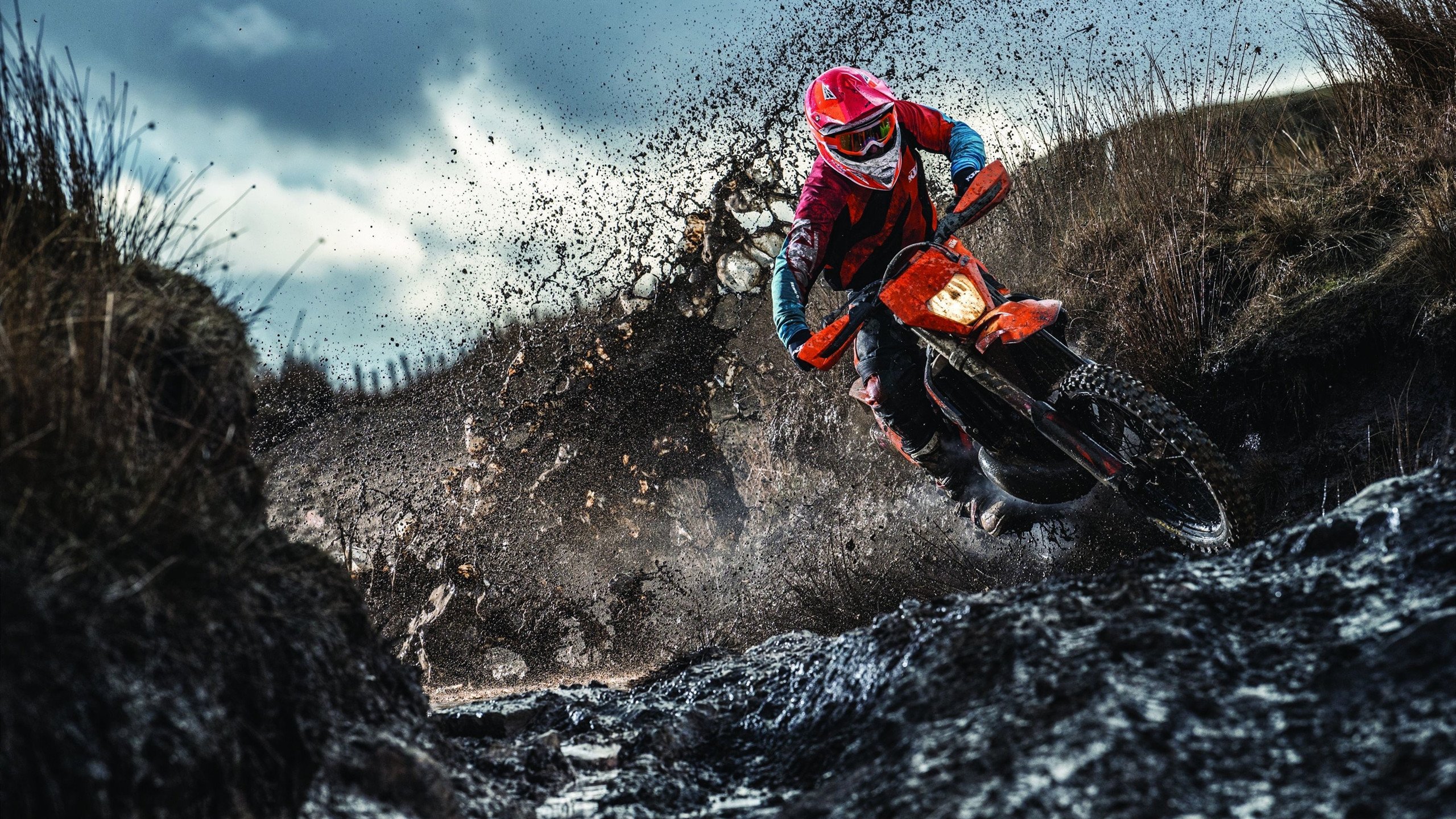 NBA季后赛之夜，小贾伦·硬仗之王的崛起